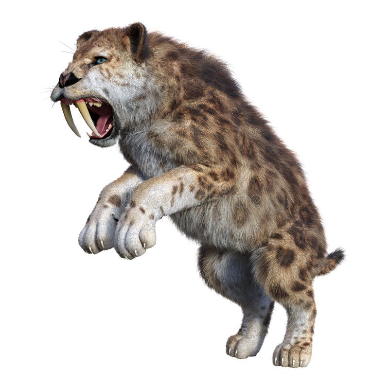 τρισδιάστατη τίγρη απόδοσης Sabertooth στο λευκό απεικόνιση αποθεμάτων