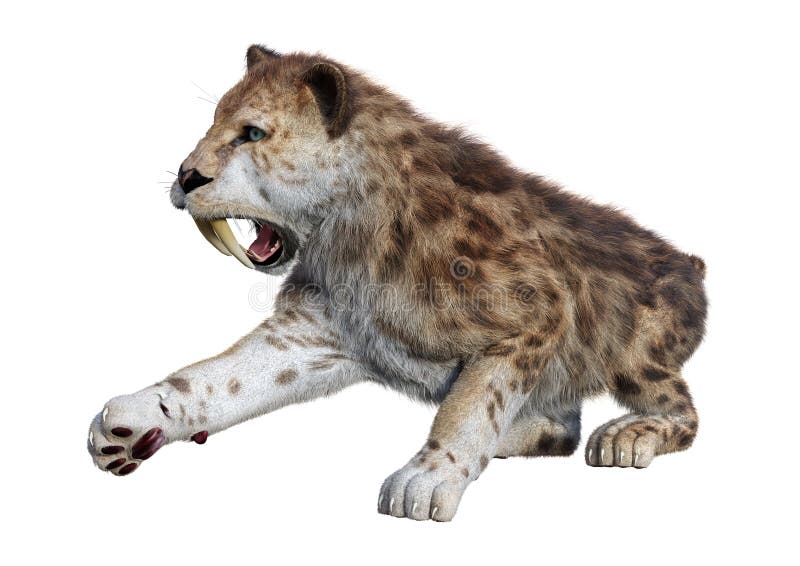 τρισδιάστατη τίγρη απόδοσης Sabertooth στο λευκό απεικόνιση αποθεμάτων