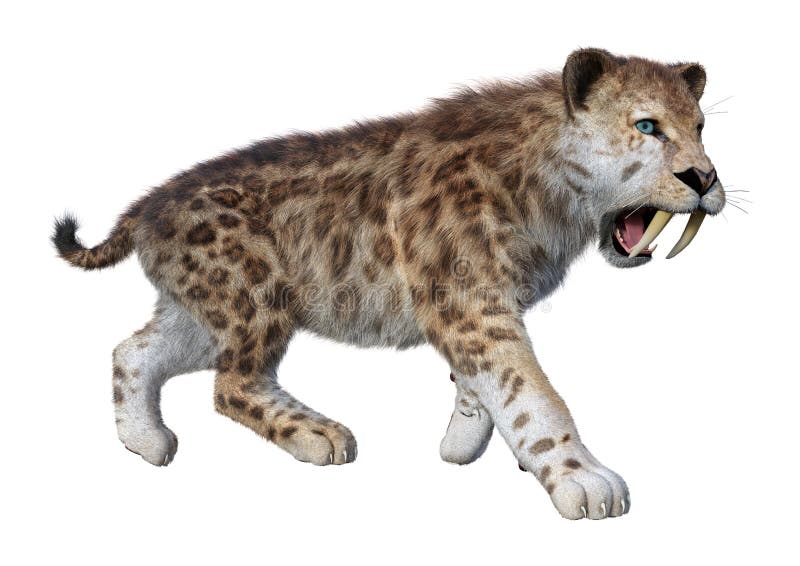τρισδιάστατη τίγρη απόδοσης Sabertooth στο λευκό ελεύθερη απεικόνιση δικαιώματος