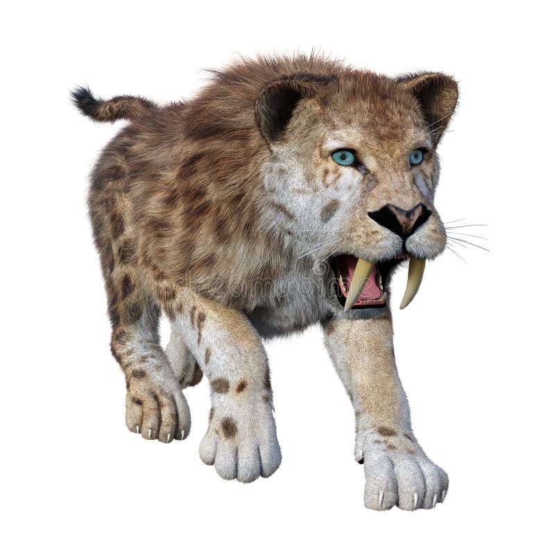 τρισδιάστατη τίγρη απόδοσης Sabertooth στο λευκό διανυσματική απεικόνιση