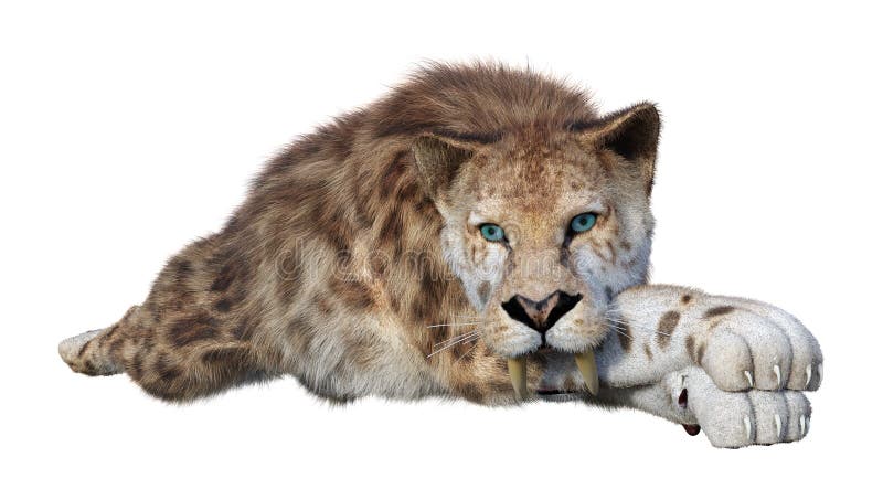 τρισδιάστατη τίγρη απόδοσης Sabertooth στο λευκό διανυσματική απεικόνιση