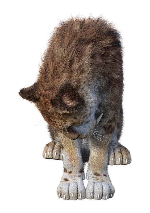 τρισδιάστατη τίγρη απόδοσης Sabertooth στο λευκό ελεύθερη απεικόνιση δικαιώματος