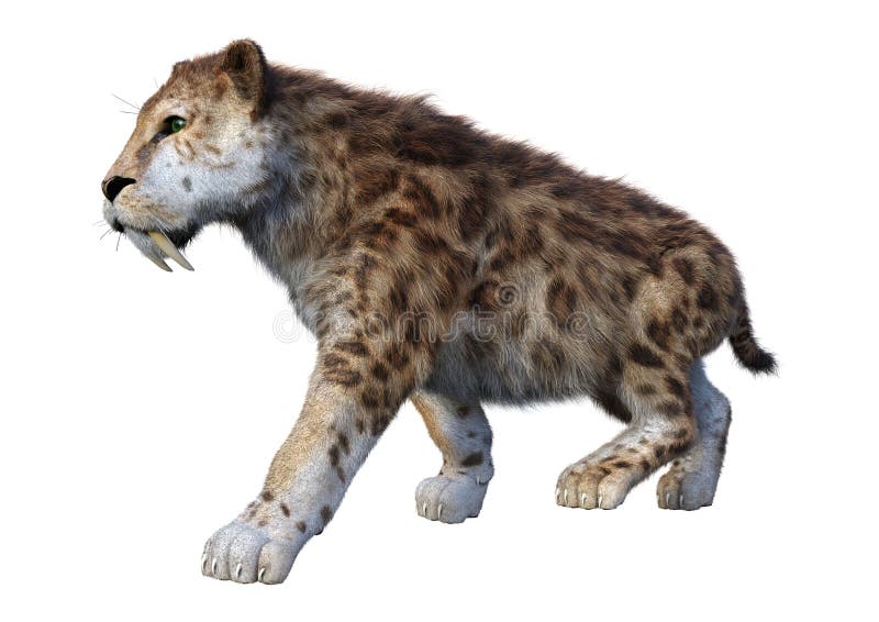 τρισδιάστατη τίγρη απόδοσης Sabertooth στο λευκό απεικόνιση αποθεμάτων