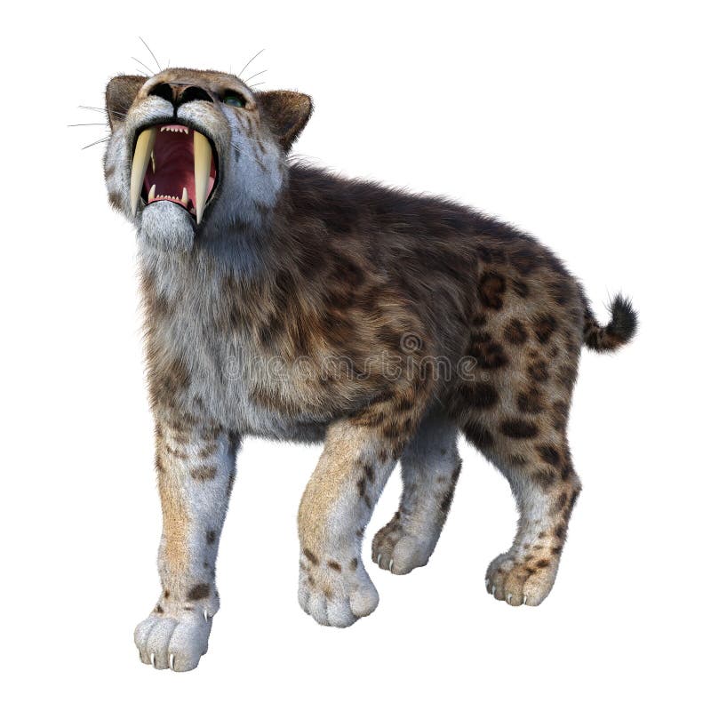 τρισδιάστατη τίγρη απόδοσης Sabertooth στο λευκό διανυσματική απεικόνιση