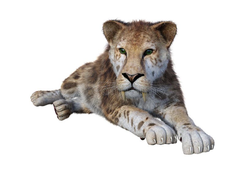τρισδιάστατη τίγρη απόδοσης Sabertooth στο Μαύρο απεικόνιση αποθεμάτων