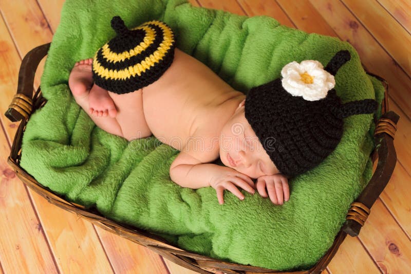 Τριών εβδομάδων παλαιό κοριτσάκι που φορά bumblebee το κοστούμι στοκ φωτογραφία με δικαίωμα ελεύθερης χρήσης Τριών εβδομάδων παλαιό κοριτσάκι που φορά bumblebee το κοστούμι στοκ φωτογραφία με δικαίωμα ελεύθερης χρήσης