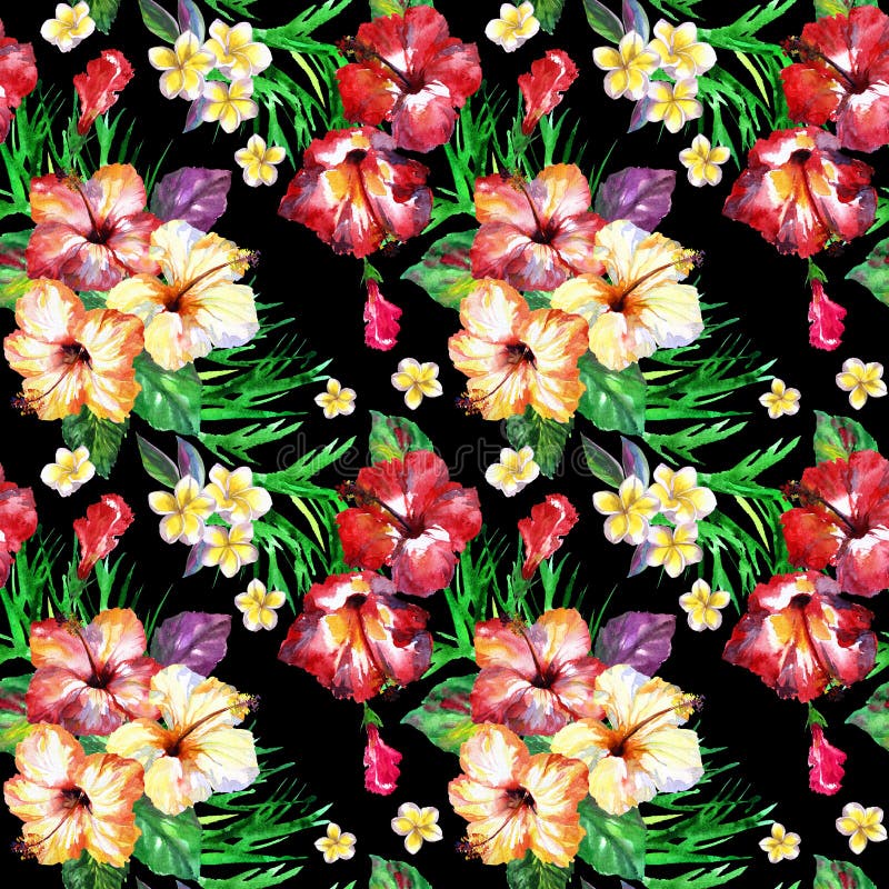 Τροπικό floral σχέδιο στο Μαύρο Χρωματισμένο Watercolor plumeria λουλουδιών απεικόνιση αποθεμάτων Τροπικό floral σχέδιο στο Μαύρο Χρωματισμένο Watercolor plumeria λουλουδιών απεικόνιση αποθεμάτων
