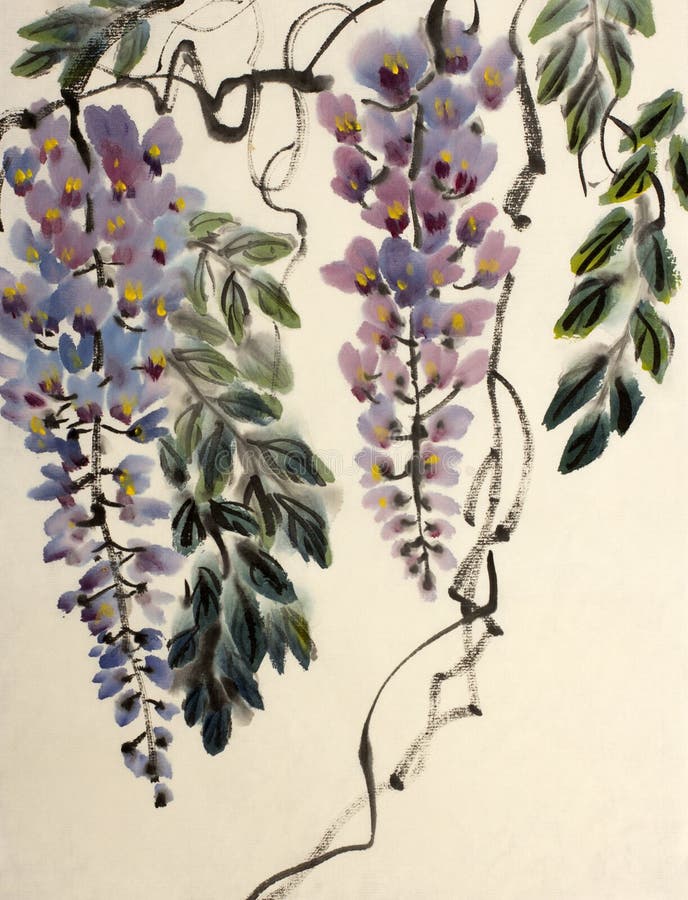 Tender flowering wisteria painted in Chinese style. Tender flowering wisteria painted in Chinese style