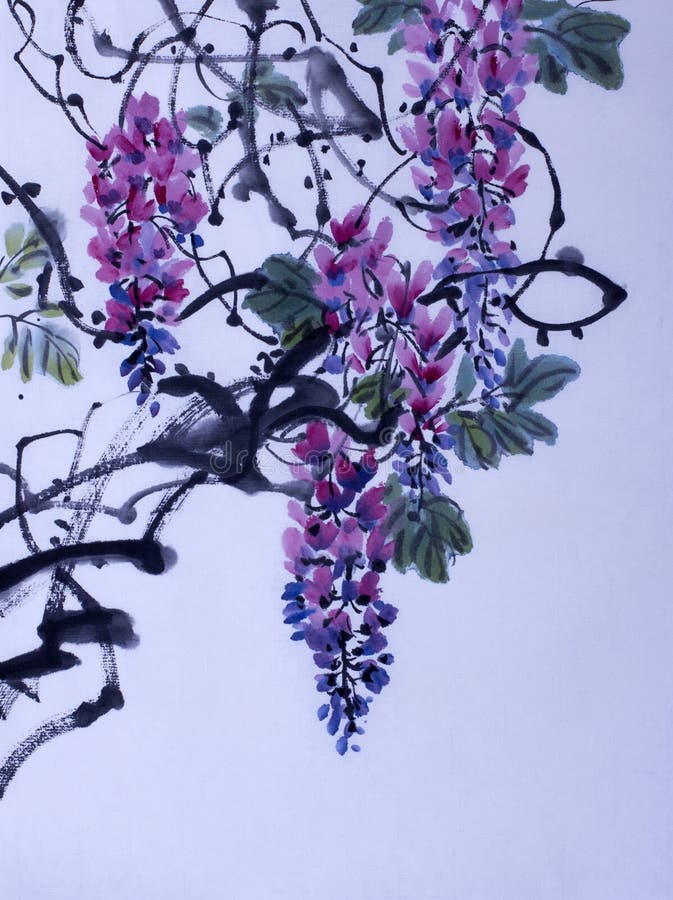 Tender flowering wisteria painted in Chinese style. Tender flowering wisteria painted in Chinese style