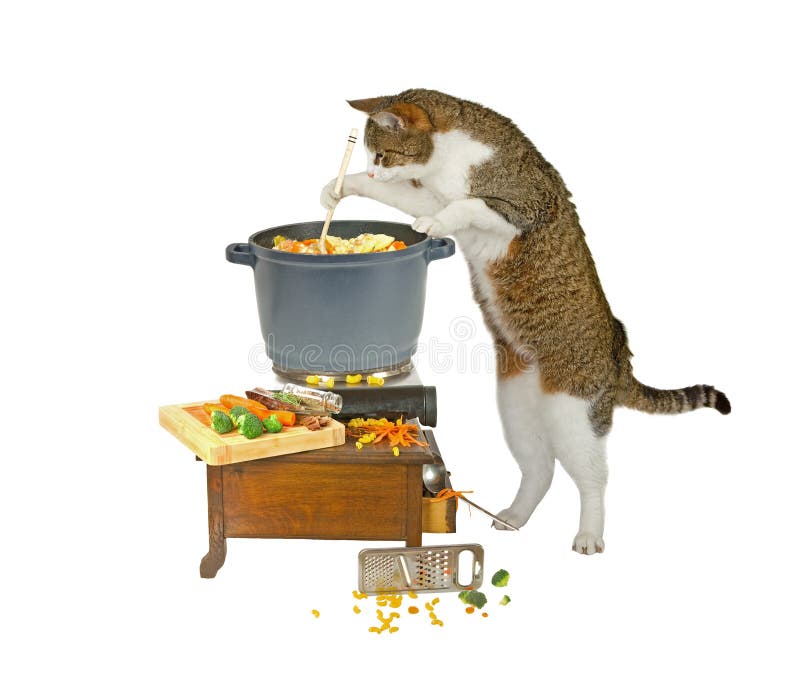 Food is nearly ready..., cat is cooking on white background. Food is nearly ready..., cat is cooking on white background