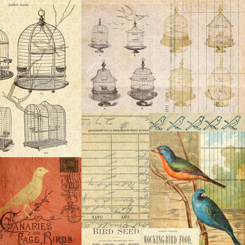 Vintage Birds and cages collage montage background. Vintage Birds and cages collage montage background.