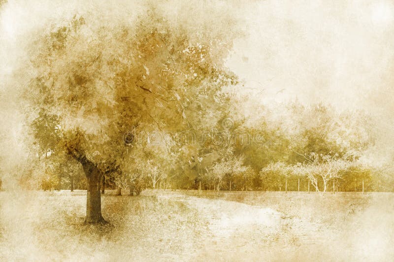τρύγος τοπίων στοκ φωτογραφία με δικαίωμα ελεύθερης χρήσης