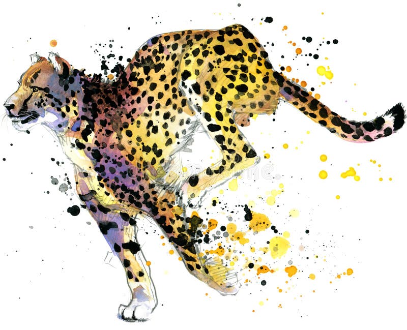 Cheetah. cheetah Tee shirt graphics. cheetah illustration with splash watercolor textured background. cheetah watercolor illustration for fashion print, poster, textiles, fashion design. Cheetah. cheetah Tee shirt graphics. cheetah illustration with splash watercolor textured background. cheetah watercolor illustration for fashion print, poster, textiles, fashion design