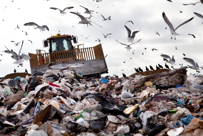 Truck working in landfill with birds in the sky. Truck working in landfill with birds in the sky