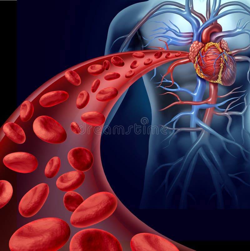 Heart blood health with red cells flowing through three dimensional veins from the human circulatory system representing a medical health care symbol of cardiology and cardiovascular fitness. Heart blood health with red cells flowing through three dimensional veins from the human circulatory system representing a medical health care symbol of cardiology and cardiovascular fitness.