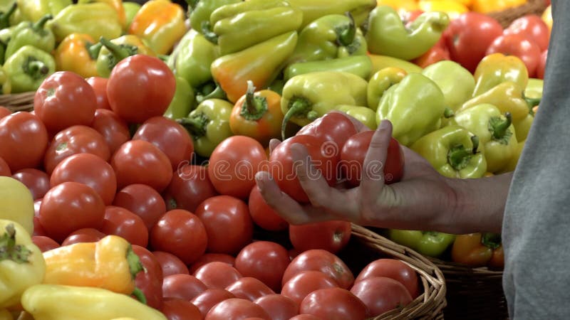Υγεία θέματος και φυσικά τρόφιμα Κινηματογράφηση σε πρώτο πλάνο του χεριού μιας καυκάσιας εκμετάλλευσης ατόμων, ντομάτες επιλογής στοκ φωτογραφία με δικαίωμα ελεύθερης χρήσης Υγεία θέματος και φυσικά τρόφιμα Κινηματογράφηση σε πρώτο πλάνο του χεριού μιας καυκάσιας εκμετάλλευσης ατόμων, ντομάτες επιλογής στοκ φωτογραφία με δικαίωμα ελεύθερης χρήσης