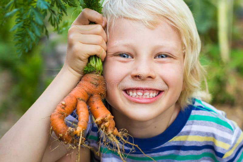 Υγιές παιδί στον κήπο που κρατά ένα ασυνήθιστο homegrown καρότο