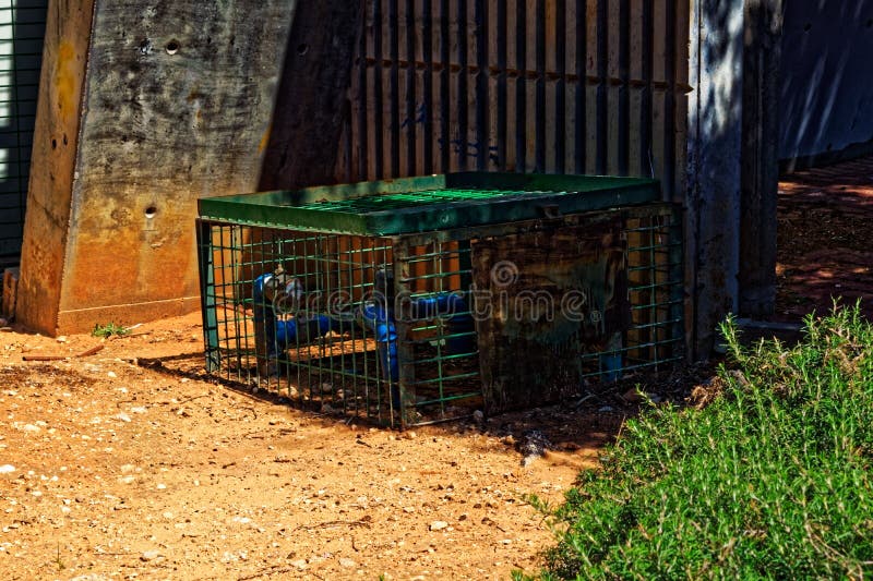 Υδροσωλήνας σε ένα κλουβί στοκ φωτογραφίες με δικαίωμα ελεύθερης χρήσης Υδροσωλήνας σε ένα κλουβί στοκ φωτογραφίες με δικαίωμα ελεύθερης χρήσης