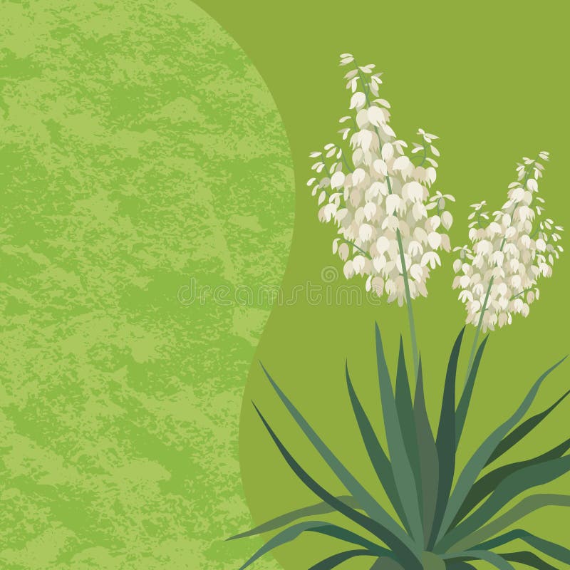 Υπόβαθρο με τα λουλούδια Yucca ελεύθερη απεικόνιση δικαιώματος Υπόβαθρο με τα λουλούδια Yucca ελεύθερη απεικόνιση δικαιώματος
