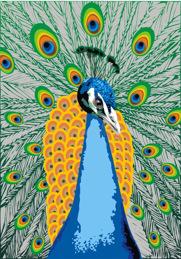 Υπόβαθρο πουλιών Peacock ελεύθερη απεικόνιση δικαιώματος