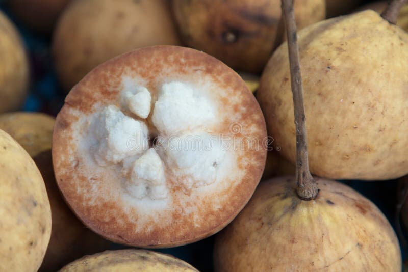 υπόβαθρο των φρούτων santol στοκ εικόνα με δικαίωμα ελεύθερης χρήσης υπόβαθρο των φρούτων santol στοκ εικόνα με δικαίωμα ελεύθερης χρήσης