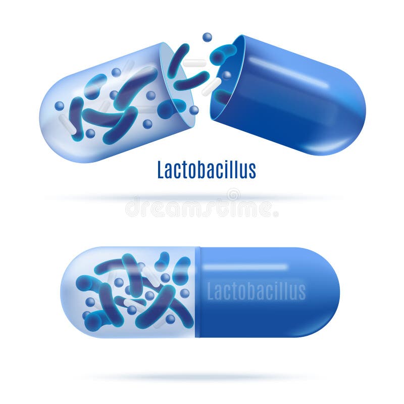 Φάρμακα με το Probiotic ρεαλιστικό διάνυσμα βακτηριδίων διανυσματική απεικόνιση Φάρμακα με το Probiotic ρεαλιστικό διάνυσμα βακτηριδίων διανυσματική απεικόνιση