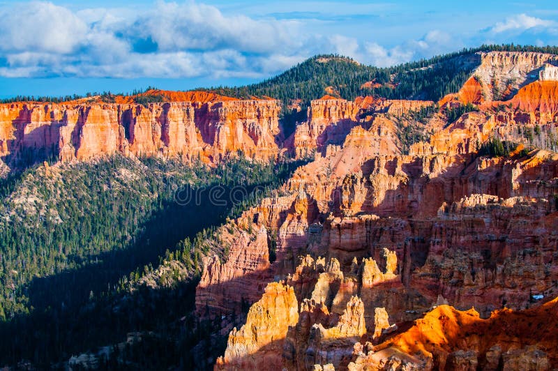 Φαράγγι Hoodoos του Bryce Ponderosa στο ηλιοβασίλεμα στοκ εικόνα Φαράγγι Hoodoos του Bryce Ponderosa στο ηλιοβασίλεμα στοκ εικόνα