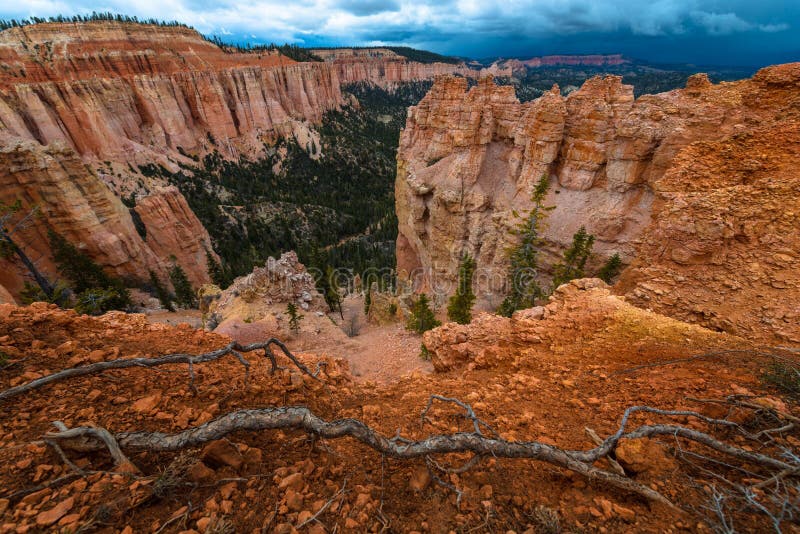 Φαράγγι του Bryce στοκ φωτογραφίες Φαράγγι του Bryce στοκ φωτογραφίες