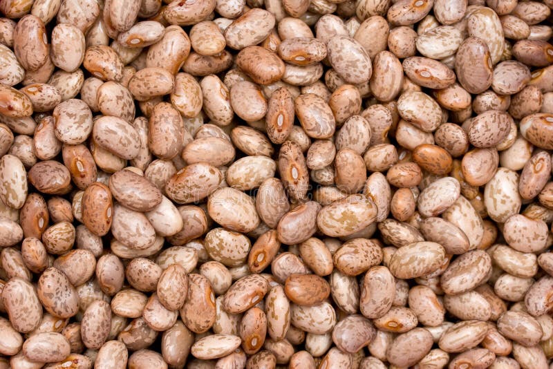 Closeup shot of pinto beans after soaking in water. Closeup shot of pinto beans after soaking in water