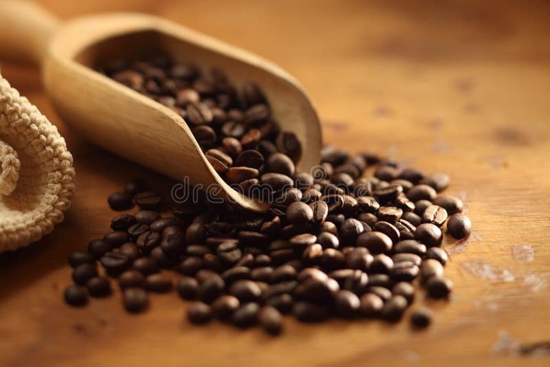 Black fresh roasted coffee beans. Black fresh roasted coffee beans