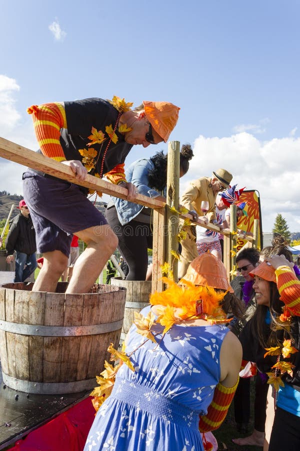 October 1, 2017 - Oliver, British Columbia, Canada: Competitors celebrating in the grape stomp at the annual Festival of the Grape located in Oliver, British Columbia, Canada, located in the Okanagan Valley and Wine Capital of Canada. October 1, 2017 - Oliver, British Columbia, Canada: Competitors celebrating in the grape stomp at the annual Festival of the Grape located in Oliver, British Columbia, Canada, located in the Okanagan Valley and Wine Capital of Canada.