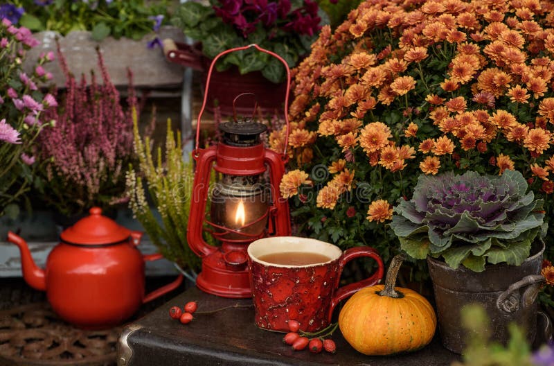 Φθινοπωρινά λουλούδια με φλιτζάνι τσάι