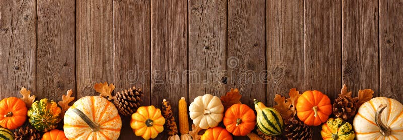 Φθινοπωρινή αφίσα από κολοκύθες, gourds και φθίνουσα διακόσμηση σε ξύλινο φόντο στοκ εικόνες με δικαίωμα ελεύθερης χρήσης