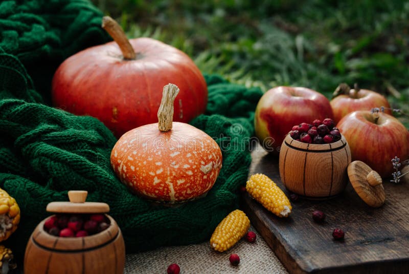 Autumn harvest, corn, apples, lavender, large orange pumpkin, nuts, red berries on a green knitted scarf 1. Autumn harvest, corn, apples, lavender, large orange pumpkin, nuts, red berries on a green knitted scarf 1