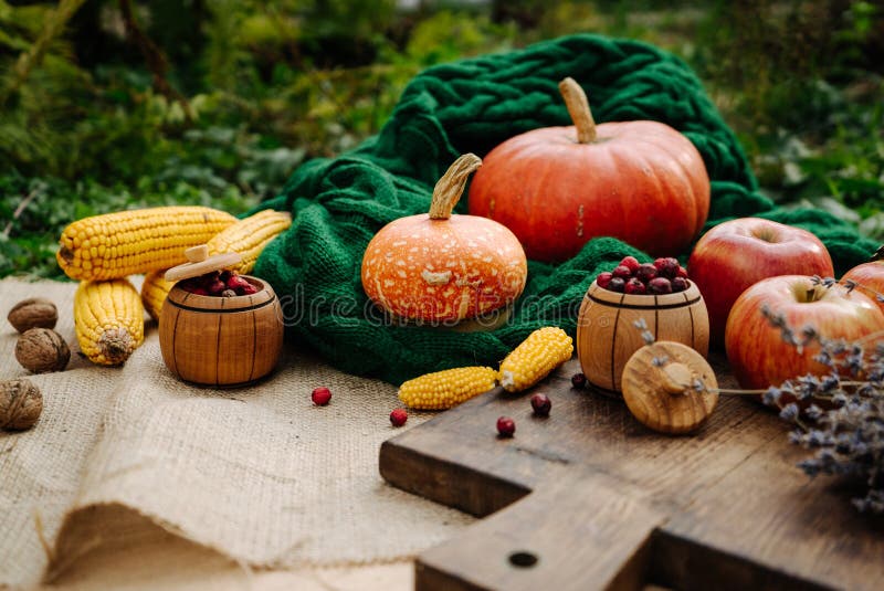 autumn harvest, corn, apples, lavender, large orange pumpkin, nuts on a green knitted scarf 1. autumn harvest, corn, apples, lavender, large orange pumpkin, nuts on a green knitted scarf 1