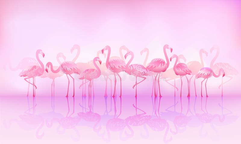 Flock of caribbean flamingos over a lake. Flock of caribbean flamingos over a lake