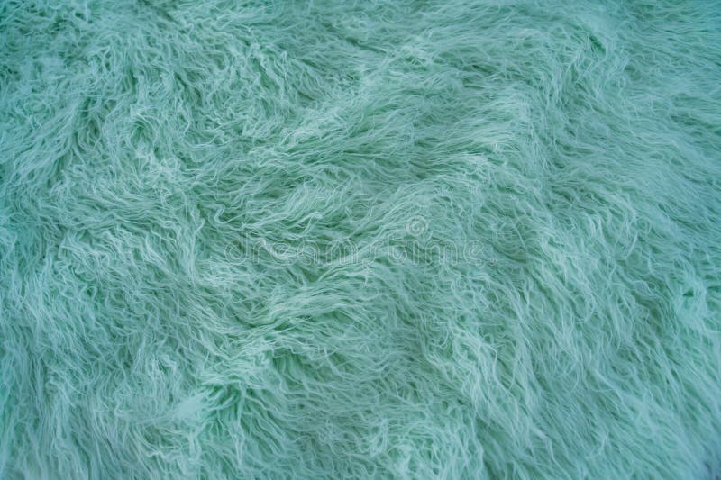 Fluffy artificial wavy fur, resembling sheep wool, in a trendy mint color. Copy space and empty place for text. High quality photo. Fluffy artificial wavy fur, resembling sheep wool, in a trendy mint color. Copy space and empty place for text. High quality photo