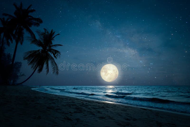 Beautiful fantasy of landscape tropical beach with silhouette palm tree in night skies and full moon - dreamlike wonder nature. Beautiful fantasy of landscape tropical beach with silhouette palm tree in night skies and full moon - dreamlike wonder nature