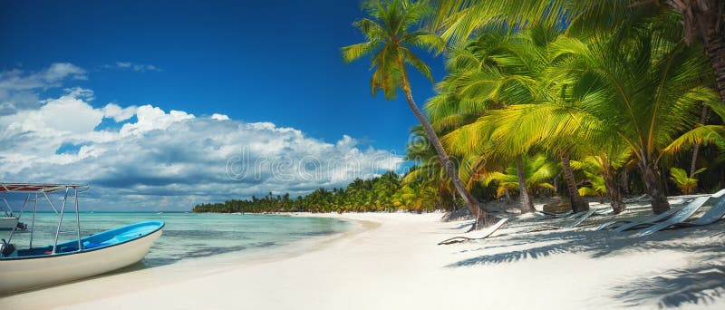 Palm trees on the tropical beach, Dominican Republic. Saona island. Palm trees on the tropical beach, Dominican Republic. Saona island.