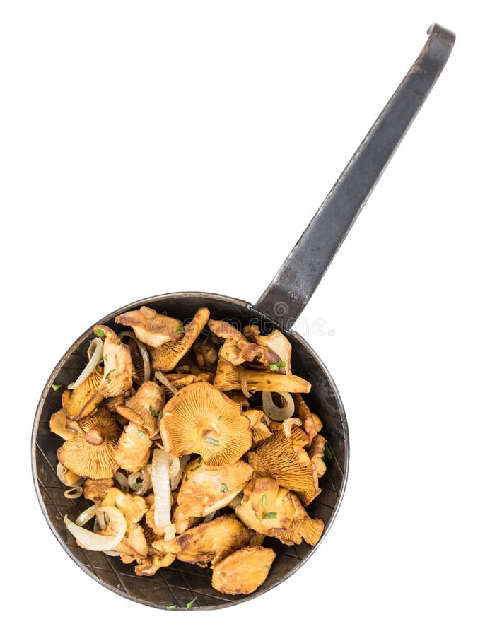 Φρέσκα γίνοντα τηγανισμένα Chanterelles πέρα από το λευκό στοκ εικόνες