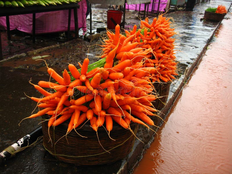 Stacks of fresh carrots in wicker baskets at an outdoor market in the rain. Stacks of fresh carrots in wicker baskets at an outdoor market in the rain.