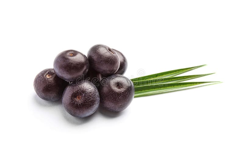 Φρέσκα μούρα acai με τα φύλλα στοκ εικόνα Φρέσκα μούρα acai με τα φύλλα στοκ εικόνα