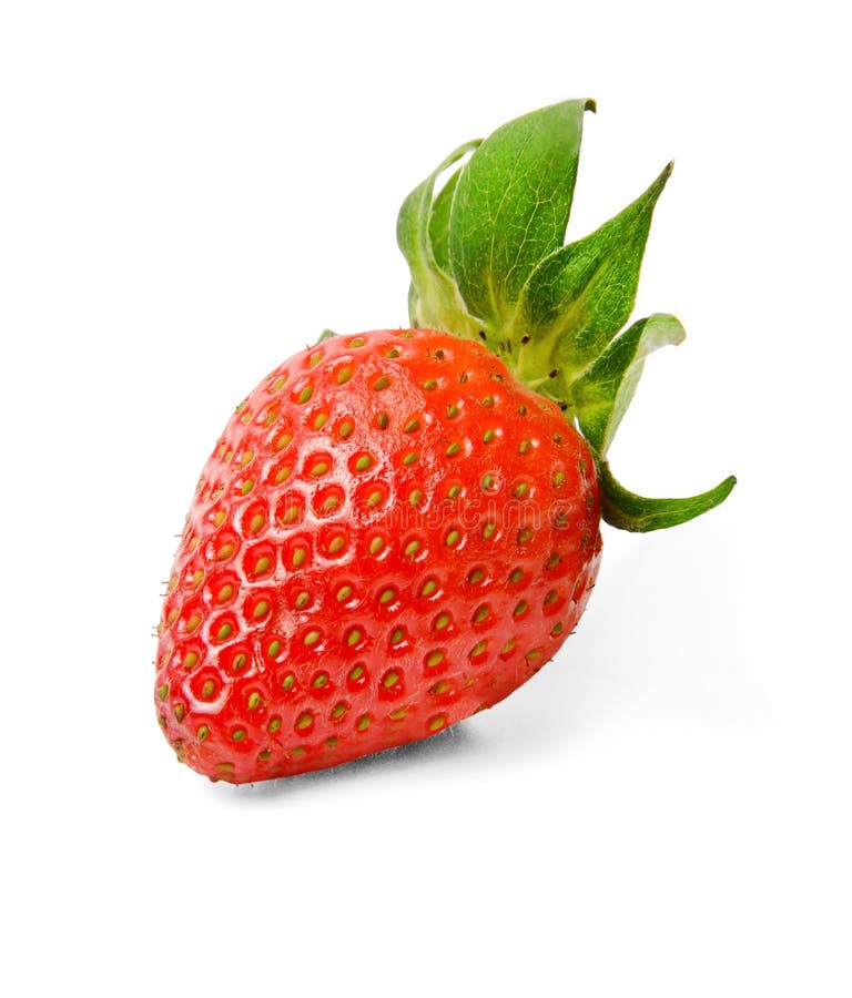 Φρέσκια juicy φράουλα με τα πράσινα φύλλα σε ένα απομονωμένο λευκό υπόβαθρο Φωτεινό χρώμα E στοκ φωτογραφίες Φρέσκια juicy φράουλα με τα πράσινα φύλλα σε ένα απομονωμένο λευκό υπόβαθρο Φωτεινό χρώμα E στοκ φωτογραφίες