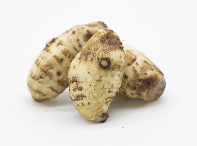 fresh taro root on white background , Arbi vegetable. fresh taro root on white background , Arbi vegetable.