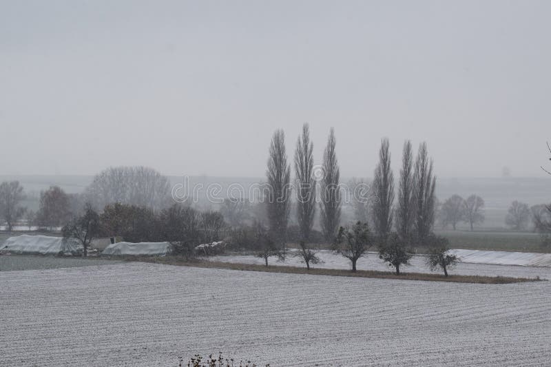 snow on the volcanic Eifel landscape in Th�rer Wiesen during December. snow on the volcanic Eifel landscape in Th�rer Wiesen during December