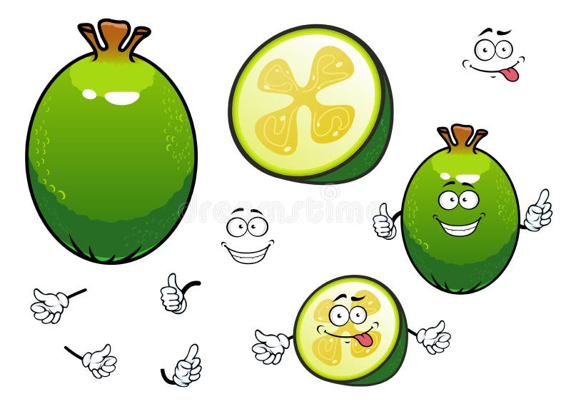 Φρέσκοι χαρακτήρες φρούτων feijoa κινούμενων σχεδίων πράσινοι απεικόνιση αποθεμάτων