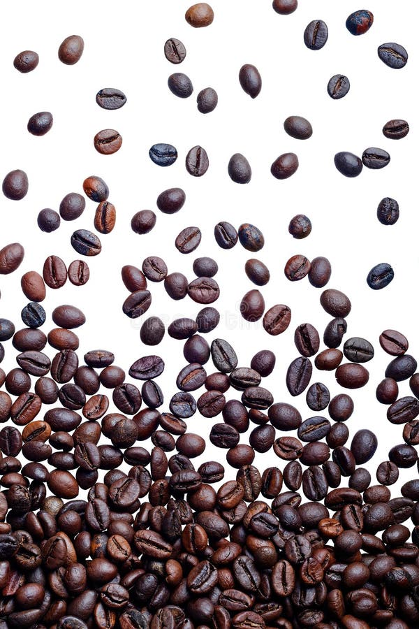 Falling fresh roasted coffee beans isolated on white background. Falling fresh roasted coffee beans isolated on white background