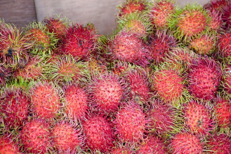 Φρούτα Rambutan στοκ φωτογραφία Φρούτα Rambutan στοκ φωτογραφία