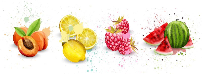 Watercolor fruits set Vector. Apricot, lemon, raspberry and watermelon delicious illustration. Watercolor fruits set Vector. Apricot, lemon, raspberry and watermelon delicious illustration