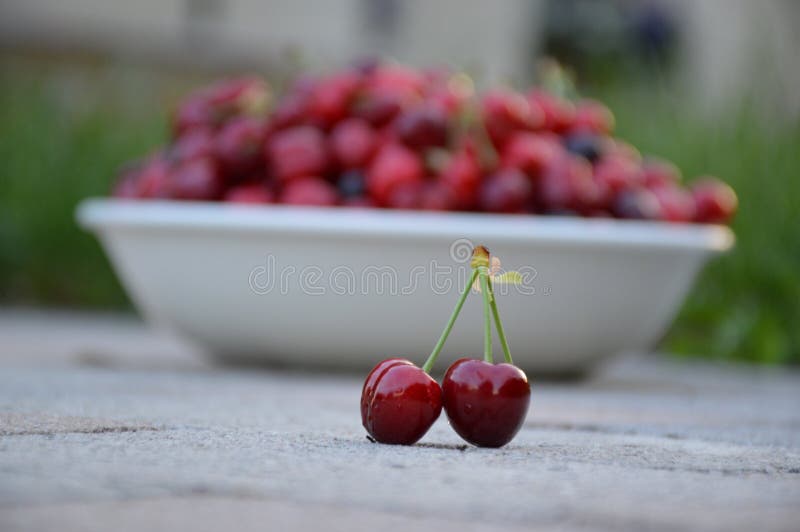 Φρούτα δύο κερασιών σε πολύ κεράσι στο υπόβαθρο κύπελλων στοκ εικόνες με δικαίωμα ελεύθερης χρήσης Φρούτα δύο κερασιών σε πολύ κεράσι στο υπόβαθρο κύπελλων στοκ εικόνες με δικαίωμα ελεύθερης χρήσης